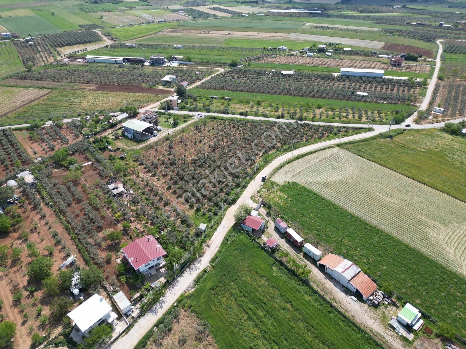 Q'zen Den Üç Tarafı Yol 2 Katlı Evi Olan 12420 M2 Tarla - Görsel 2