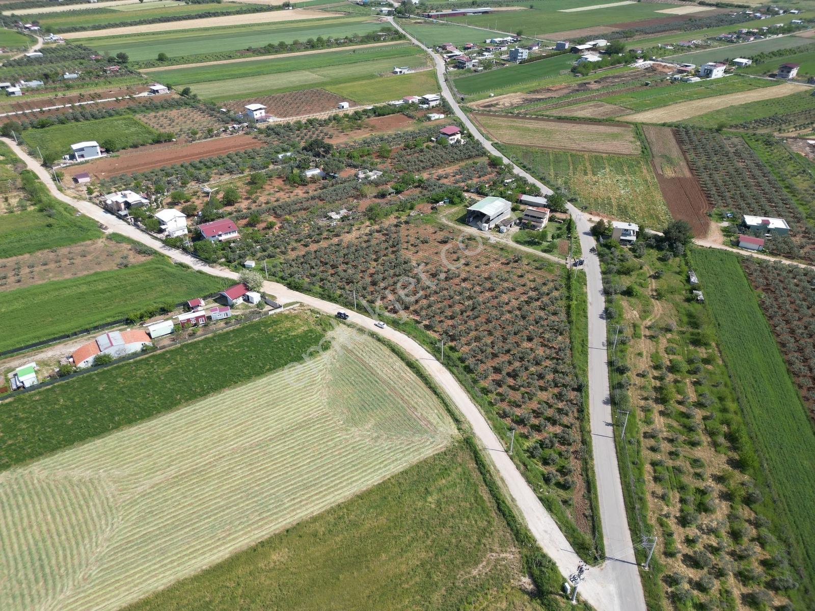 Q'zen Den Üç Tarafı Yol 2 Katlı Evi Olan 12420 M2 Tarla - Görsel 3