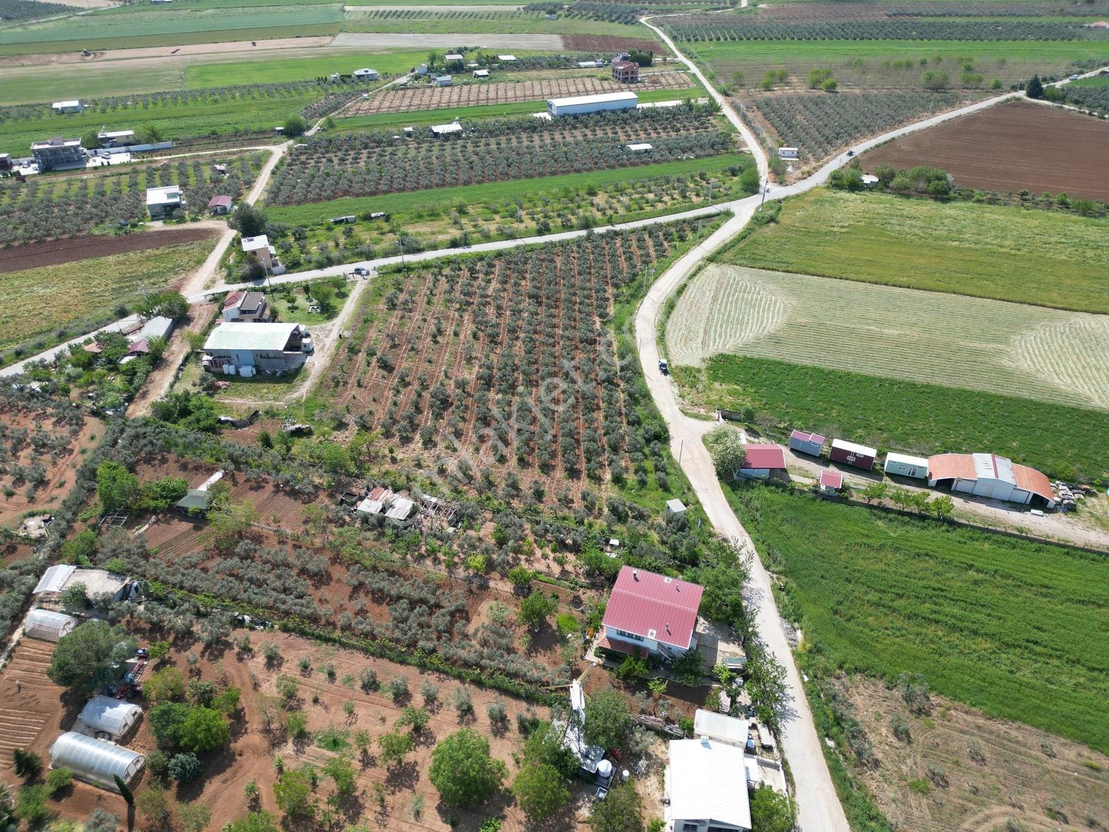 Q'zen Den Üç Tarafı Yol 2 Katlı Evi Olan 12420 M2 Tarla - Görsel 13