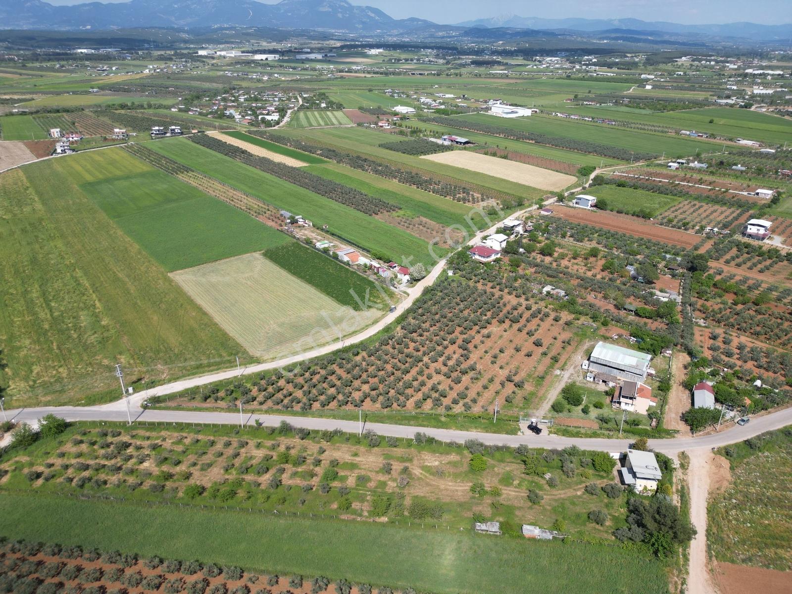 Q'zen Den Üç Tarafı Yol 2 Katlı Evi Olan 12420 M2 Tarla - Görsel 5