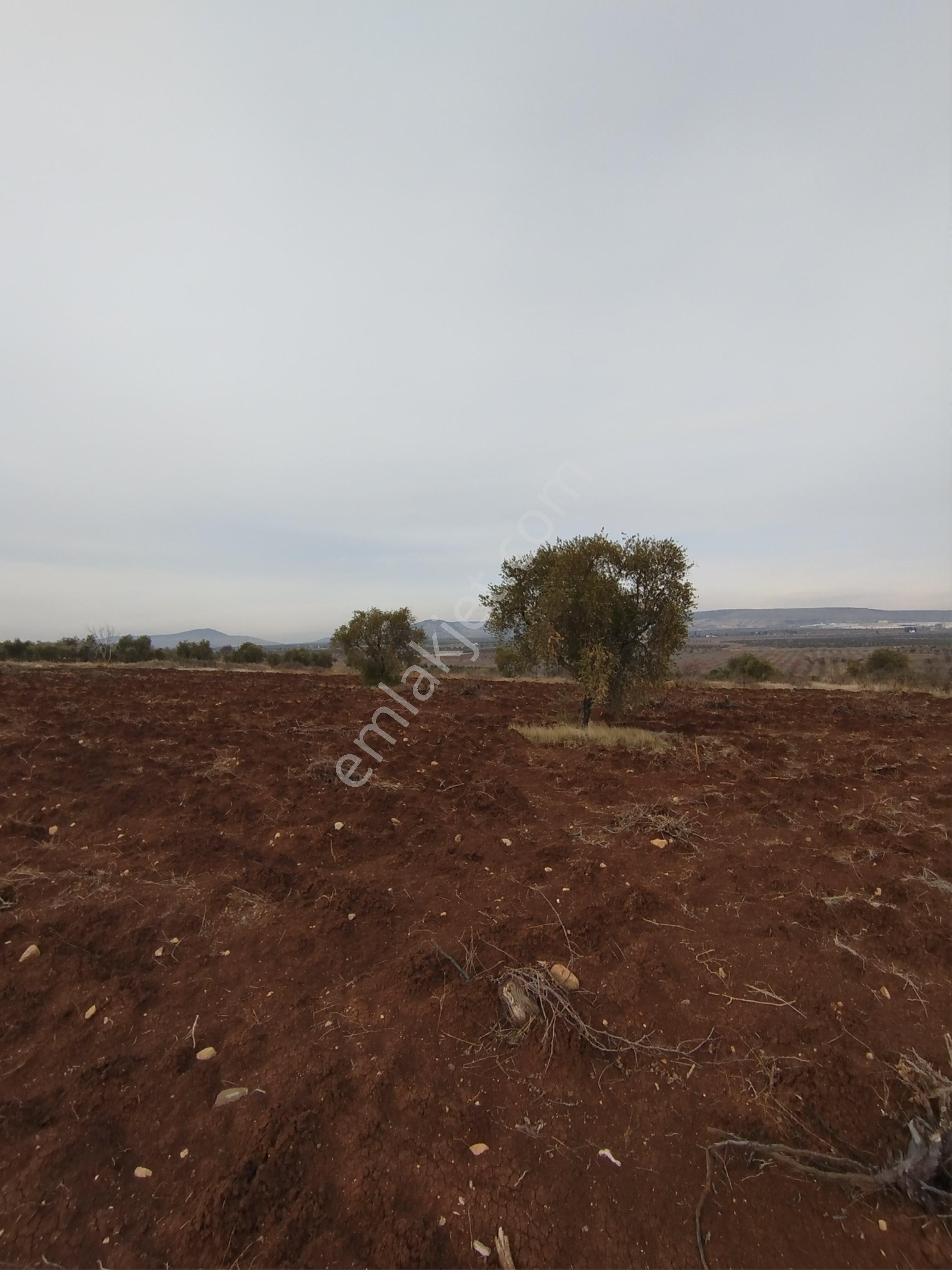 Kilis Oylumda - Görsel 14