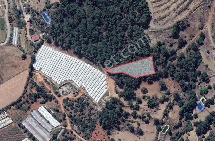 Güneyköyde Satılık Yatırımlık Tarla - Görsel 4