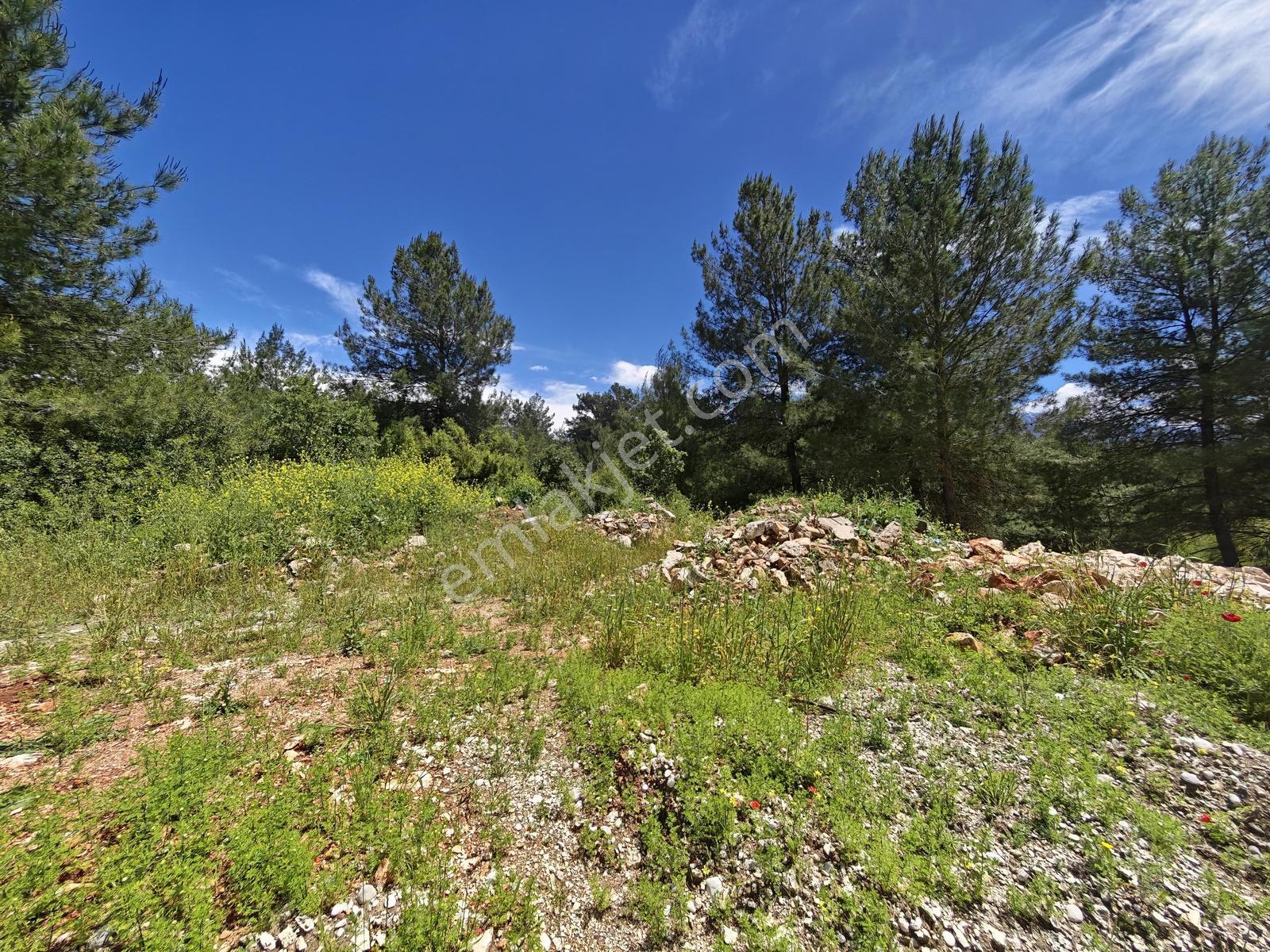 Eşen Mah. Fethiye-kaş Yoluna Yakın 744 M2 Satılık Tarla - Görsel 10