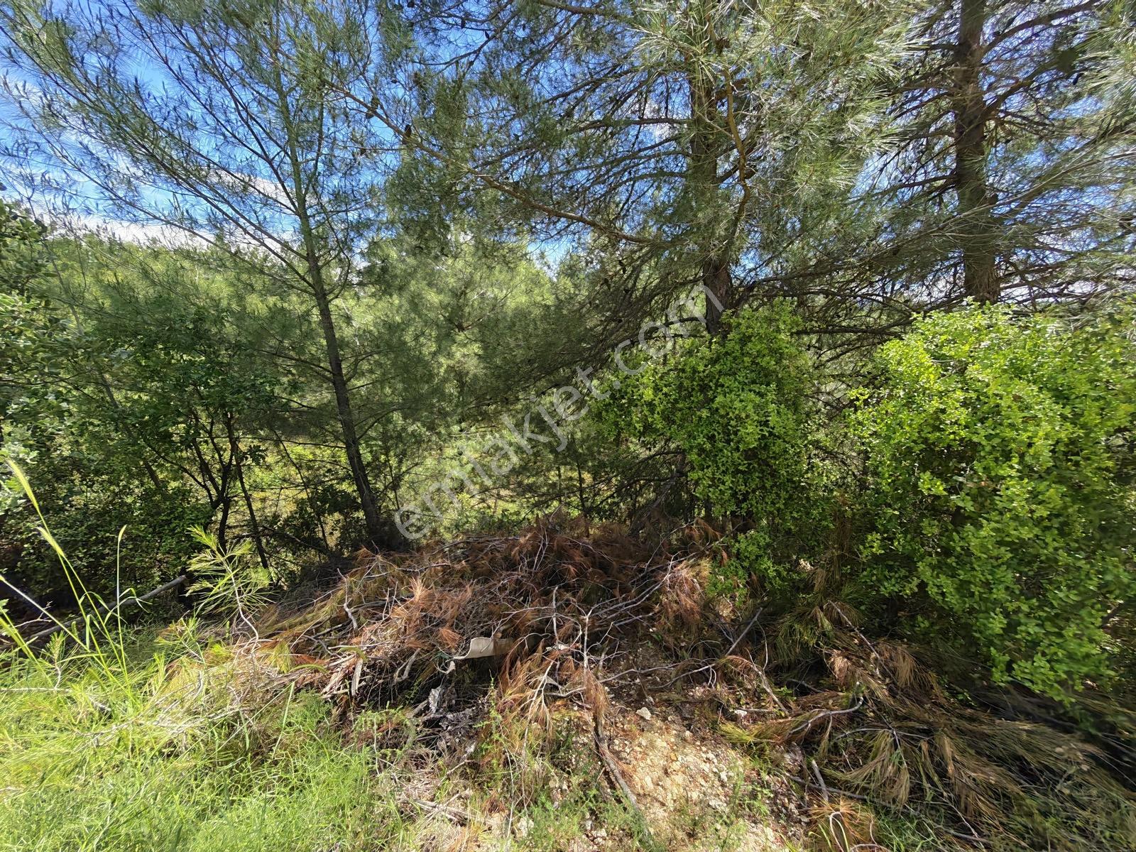 Eşen Mah. Fethiye-kaş Yoluna Yakın 744 M2 Satılık Tarla - Görsel 3