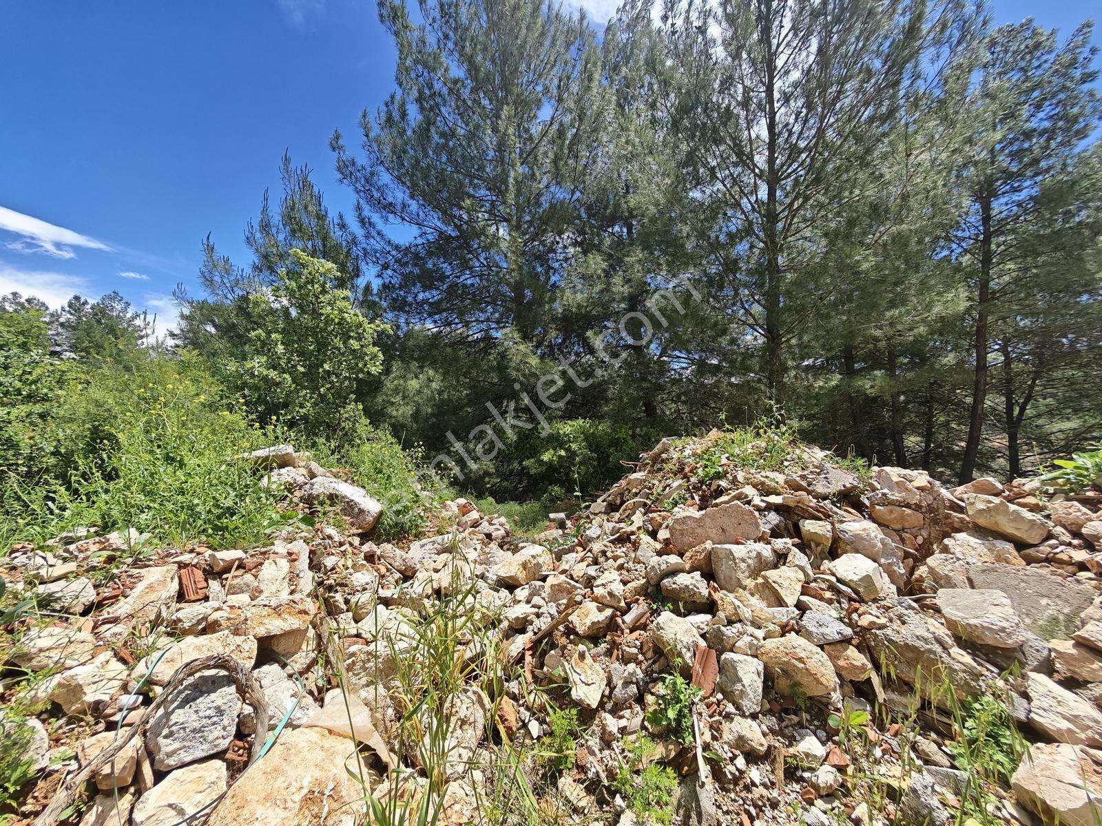 Eşen Mah. Fethiye-kaş Yoluna Yakın 744 M2 Satılık Tarla - Görsel 2