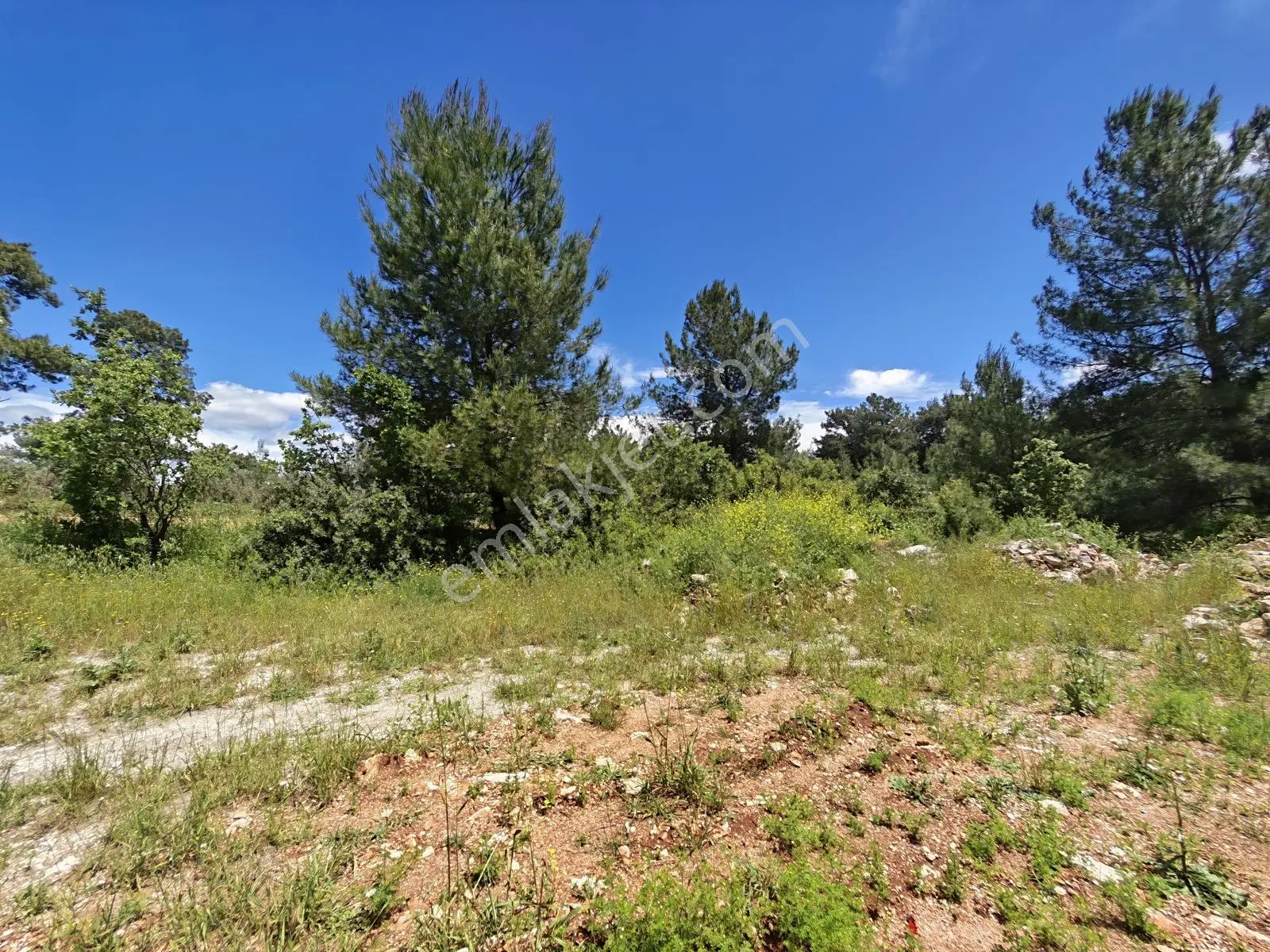 Eşen Mah. Fethiye-kaş Yoluna Yakın 744 M2 Satılık Tarla