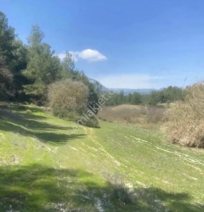 Eşen Mah. Fethiye-kaş Yoluna Yakın 744 M2 Satılık Tarla - Görsel 11