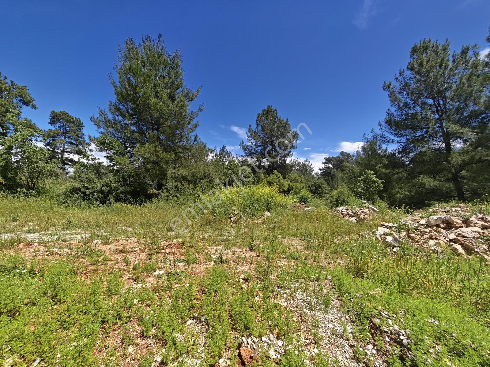 Eşen Mah. Fethiye-kaş Yoluna Yakın 744 M2 Satılık Tarla - Görsel 4
