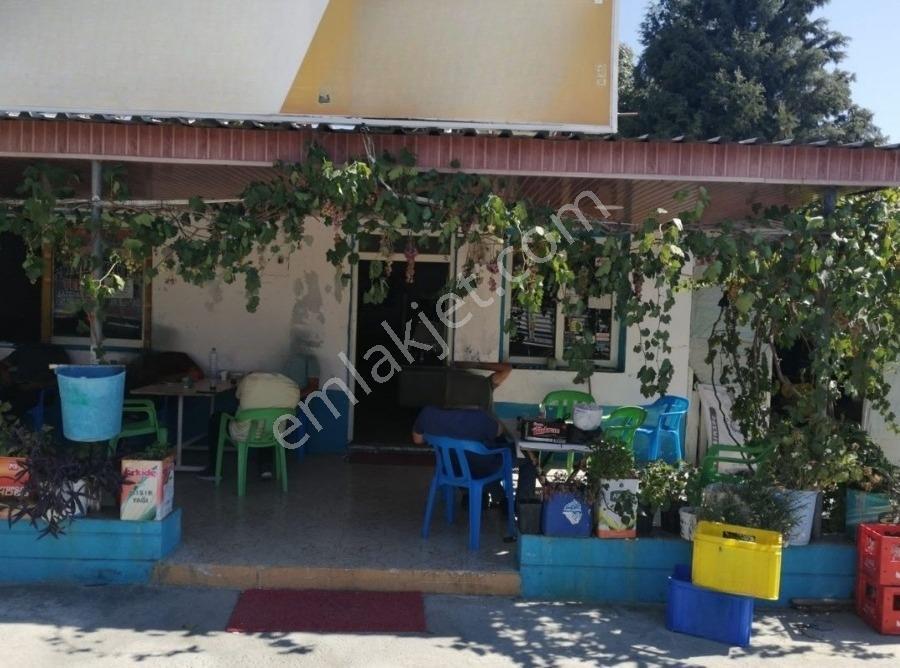 Aydın Çine Saraçlar'da Arsa, Ev, Ticari, Çiftlik Kurulu Sistem - Görsel 26