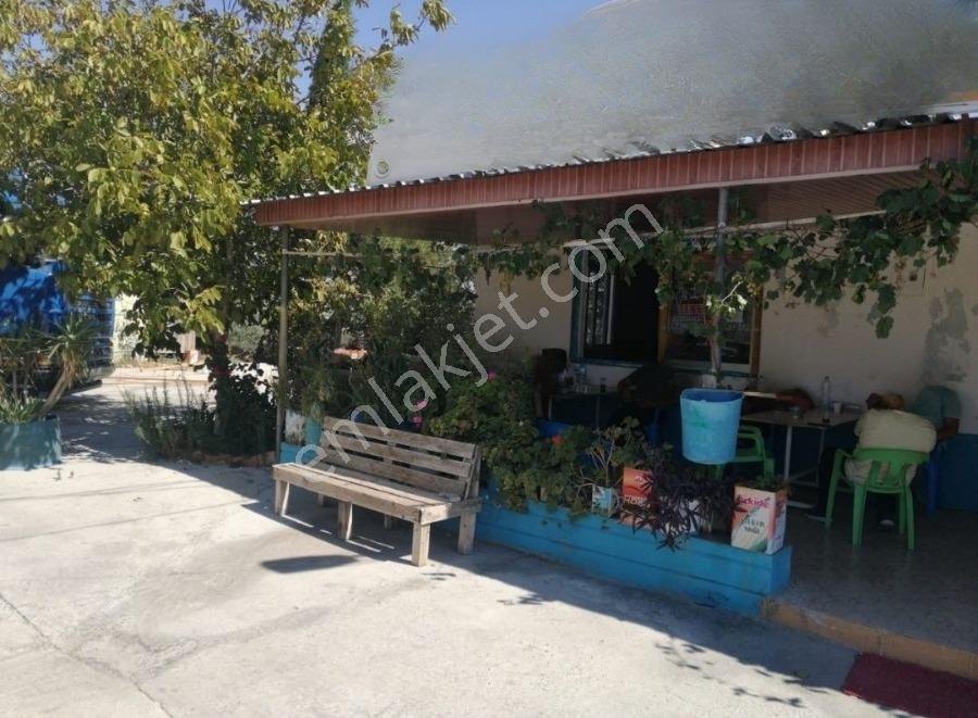 Aydın Çine Saraçlar'da Arsa, Ev, Ticari, Çiftlik Kurulu Sistem - Görsel 27