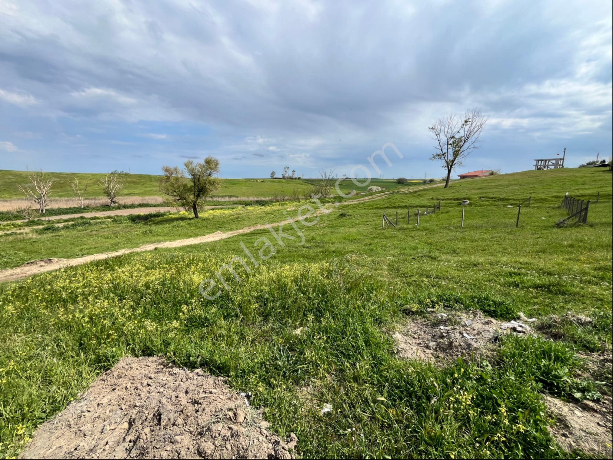 Molla Team'den Havuzlar Mah Satılık 240 M2 Konut İmarlı Arsa - Görsel 8