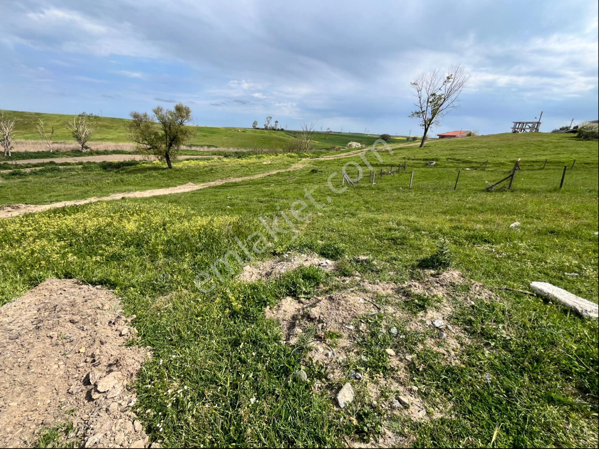Molla Team'den Havuzlar Mah Satılık 240 M2 Konut İmarlı Arsa - Görsel 2