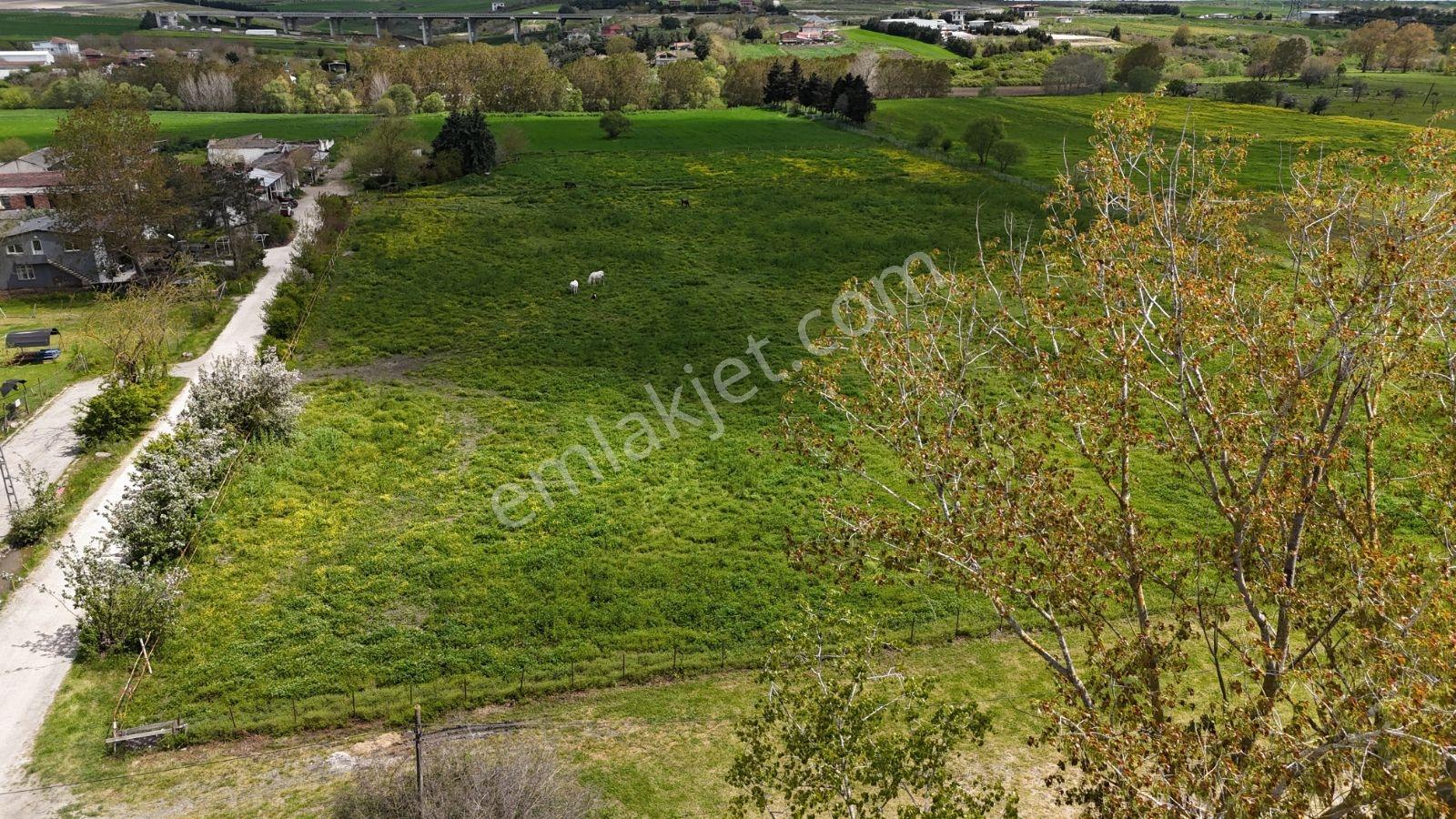 Ana Cadde Cepheli 22.373 M² Lojistik & Depolama İçin İdeal Arazi - Görsel 7