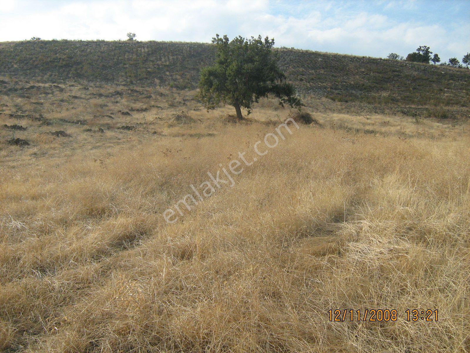 Manisa Salihli Köprübaşında 150,000m2 Asfaltta Göl Manzaralı Tarla - Görsel 20