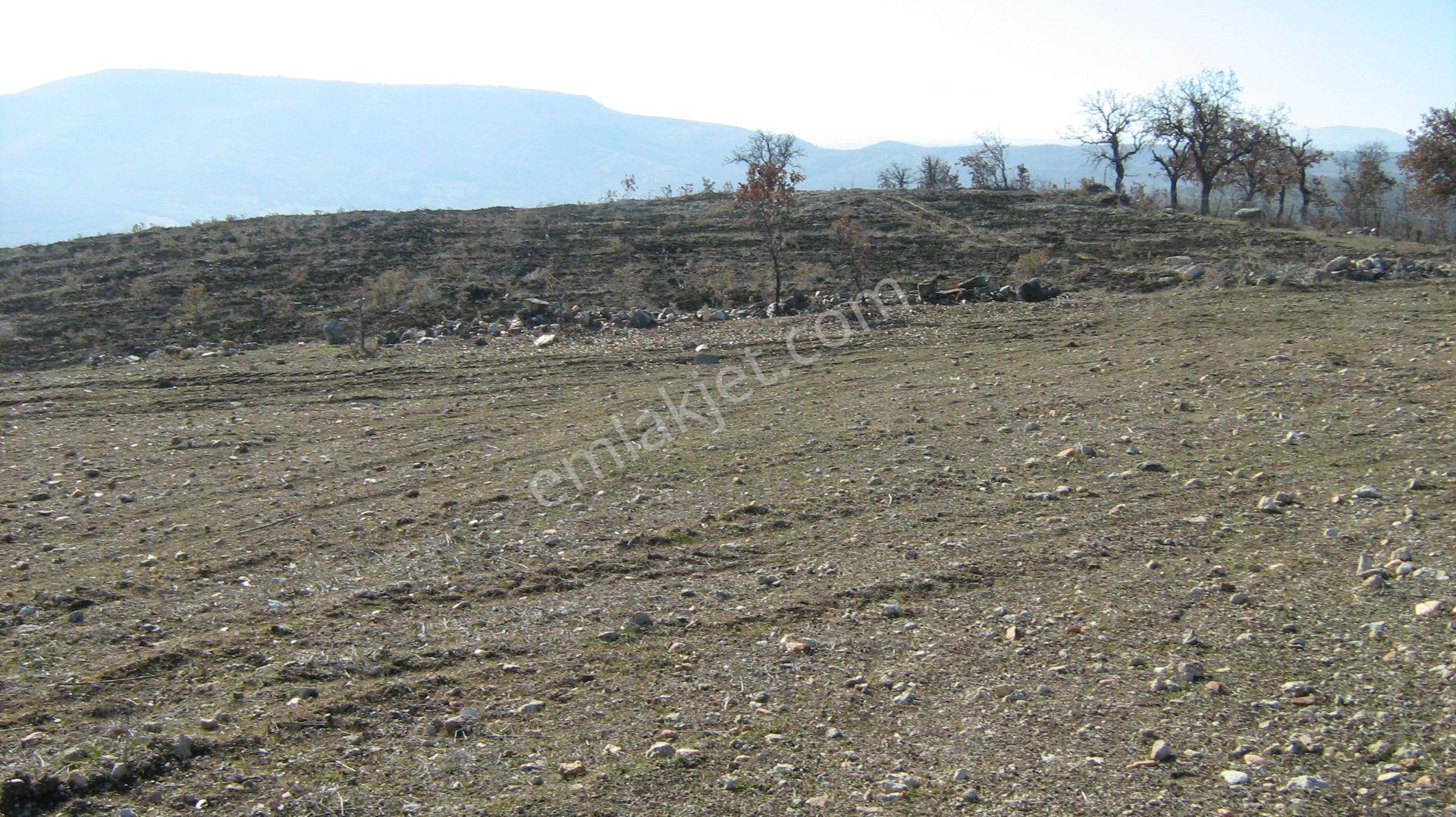 Manisa Salihli Köprübaşında 150,000m2 Asfaltta Göl Manzaralı Tarla - Görsel 19