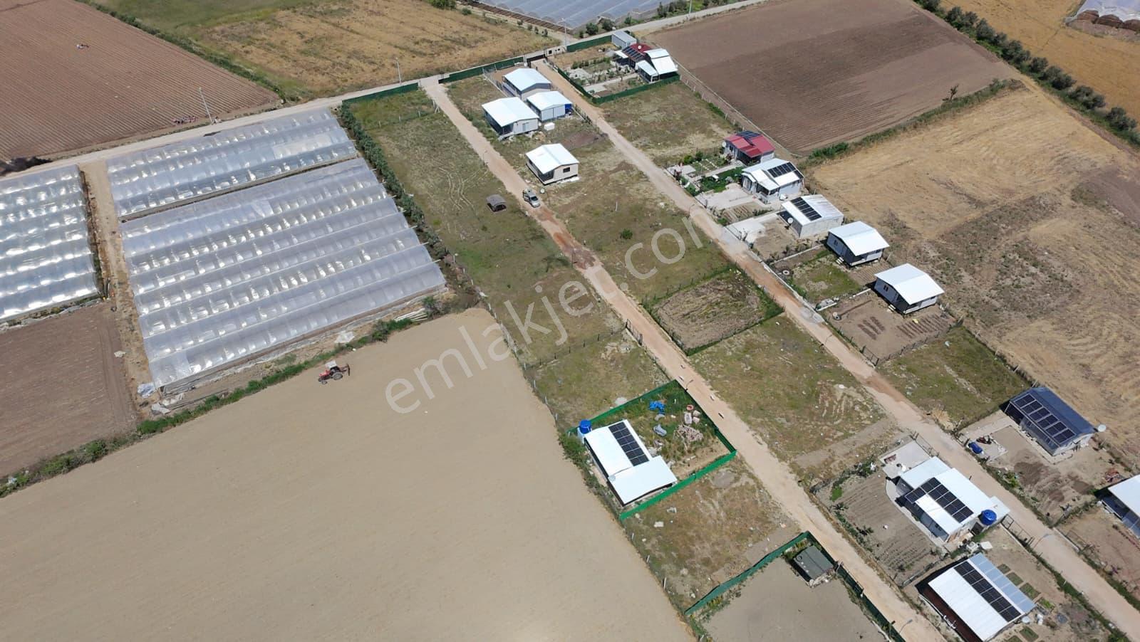 İzmir Menderes Çileme'de Satılık 275 M2 Hobi Bahçesi - Görsel 28