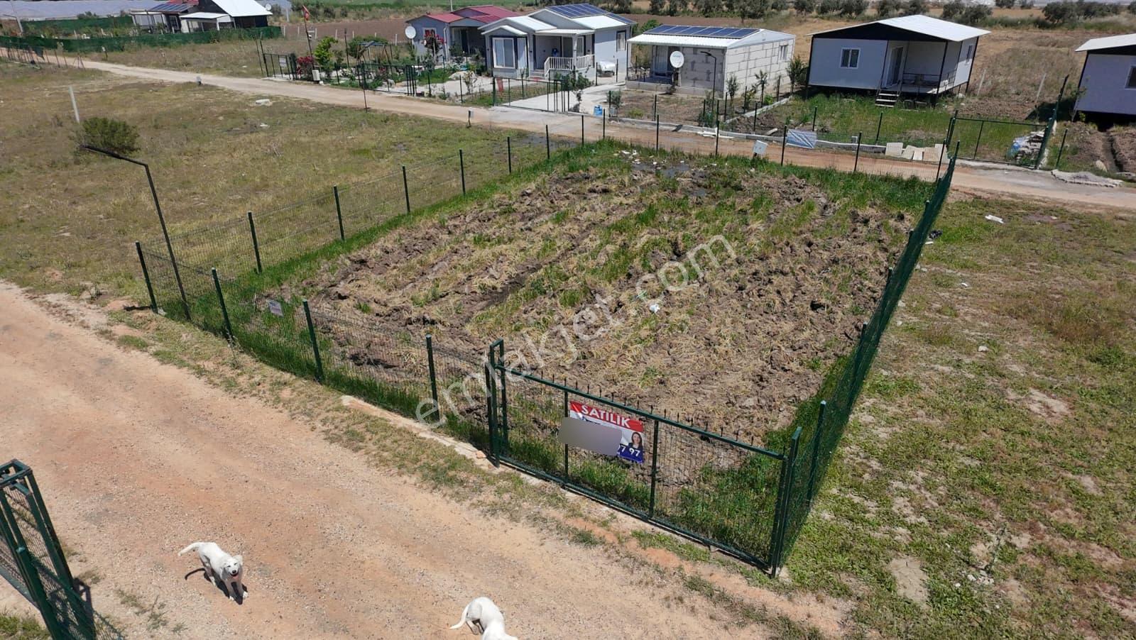 İzmir Menderes Çileme'de Satılık 275 M2 Hobi Bahçesi - Görsel 21