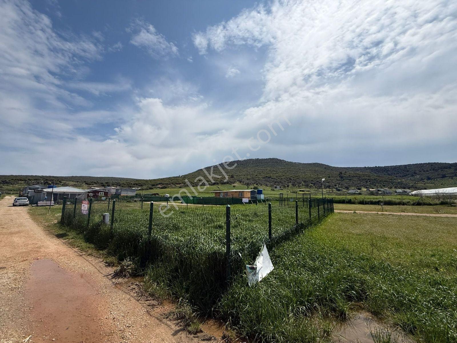 İzmir Menderes Çileme'de Satılık 275 M2 Hobi Bahçesi - Görsel 10