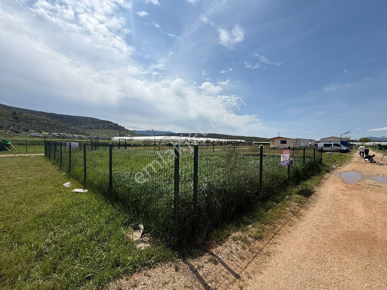 İzmir Menderes Çileme'de Satılık 275 M2 Hobi Bahçesi - Görsel 7