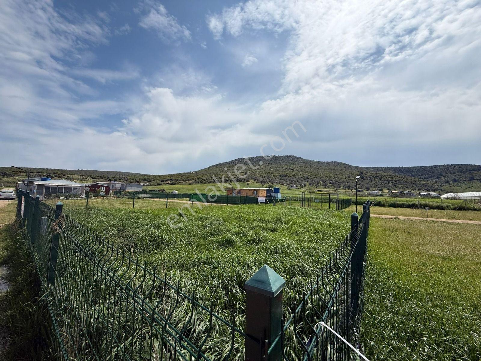 İzmir Menderes Çileme'de Satılık 275 M2 Hobi Bahçesi - Görsel 12