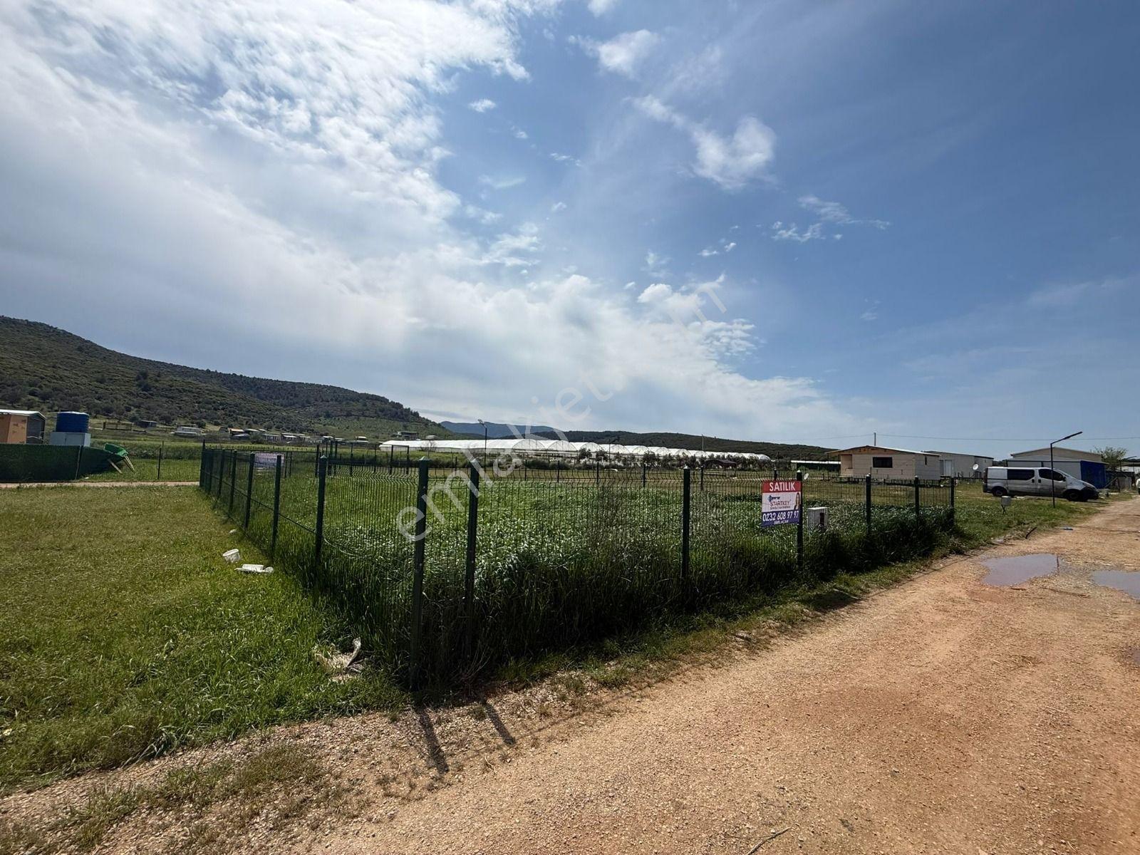 İzmir Menderes Çileme'de Satılık 275 M2 Hobi Bahçesi - Görsel 5