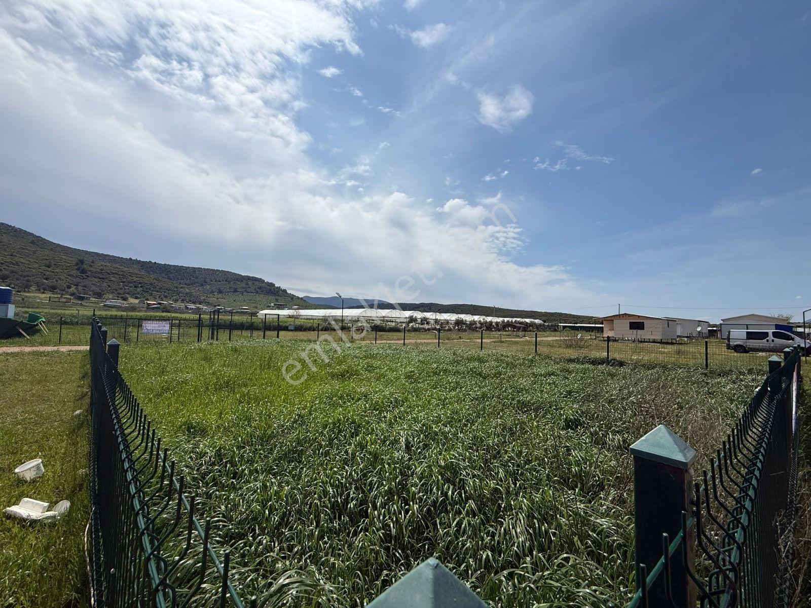 İzmir Menderes Çileme'de Satılık 275 M2 Hobi Bahçesi - Görsel 13