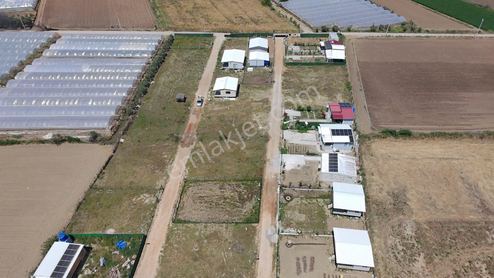 İzmir Menderes Çileme'de Satılık 275 M2 Hobi Bahçesi - Görsel 25