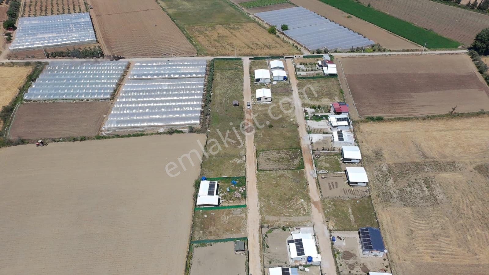 İzmir Menderes Çileme'de Satılık 275 M2 Hobi Bahçesi - Görsel 27