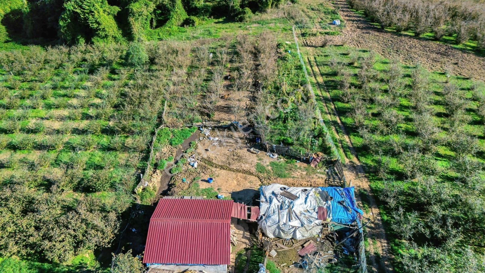 Ata İnşaat'tan Fırsat! 2800m2 Deniz Manzaralı Yola Cephe Arsa ! - Görsel 4