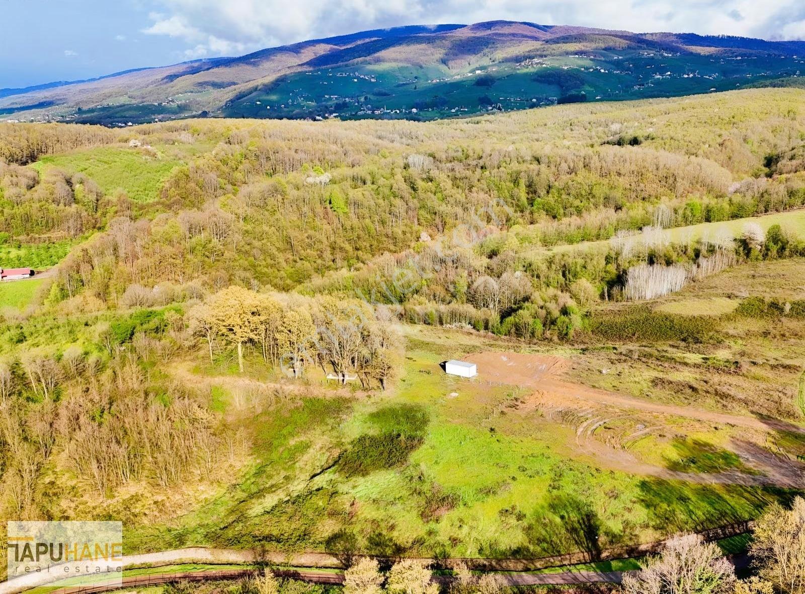 Tapuhane'den Kalayık Köyünde 1485 M2 İmarlı Arsa - Görsel 17