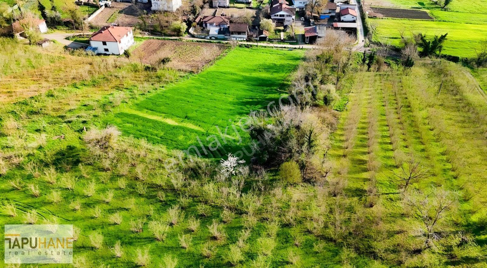 Tapuhane'den Akarca Köyünde Satılık Arsa - Görsel 28