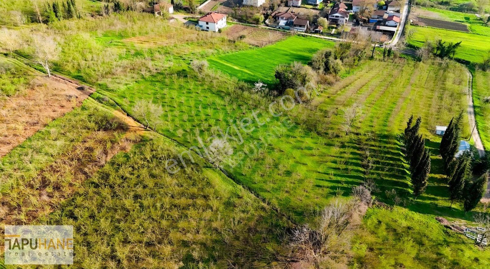 Tapuhane'den Akarca Köyünde Satılık Arsa - Görsel 27