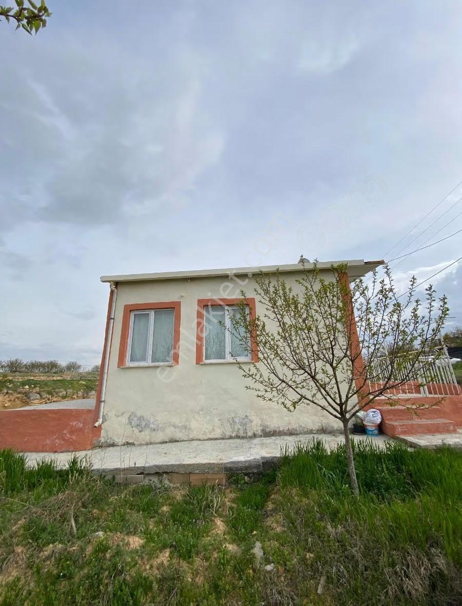 Sütlüce De Satılık 5.649 M2 Bahçe - Görsel 3