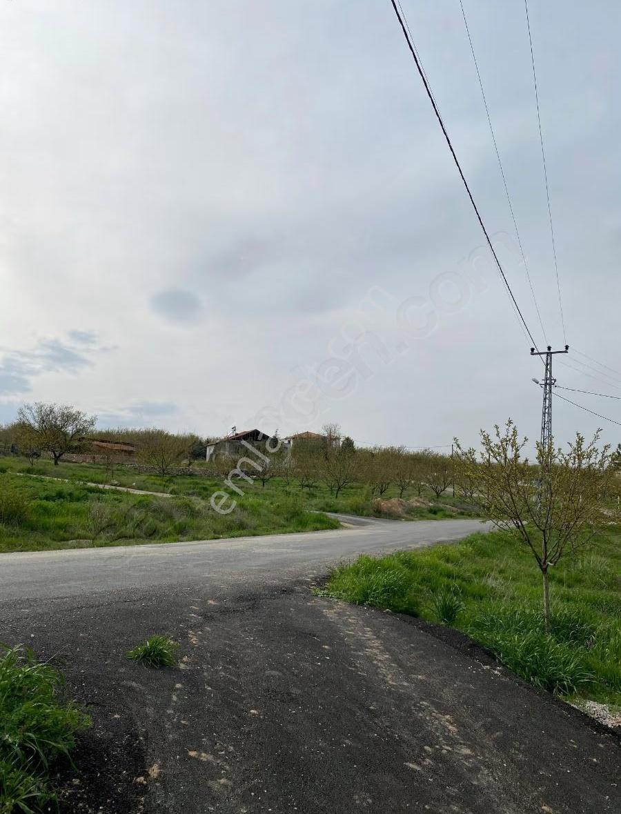 Sütlüce De Satılık 5.649 M2 Bahçe - Görsel 12