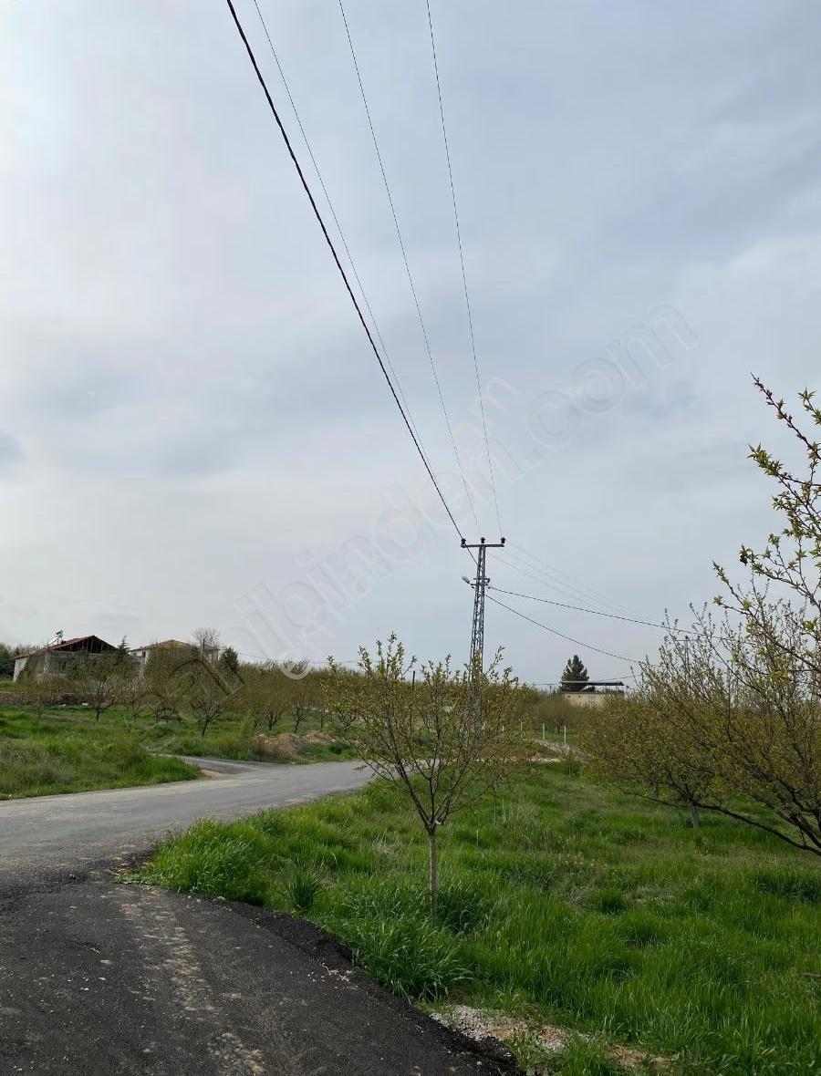 Sütlüce De Satılık 5.649 M2 Bahçe - Görsel 8