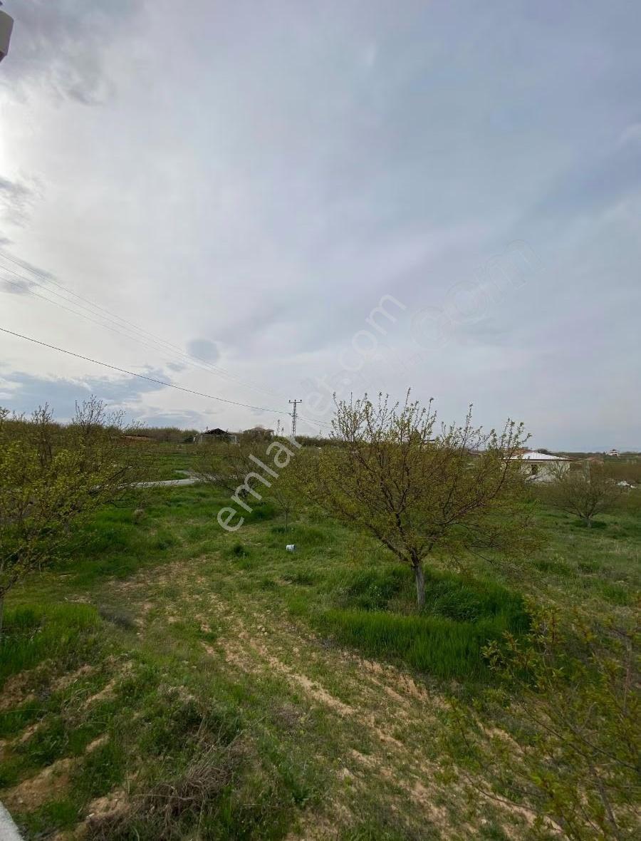 Sütlüce De Satılık 5.649 M2 Bahçe - Görsel 4