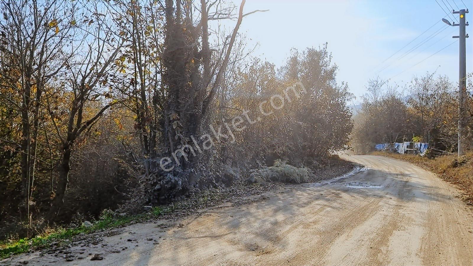 Sapanca Memnuniye'de 4030 Metrekare Yola Cephe Fırsat Tarla - Görsel 6
