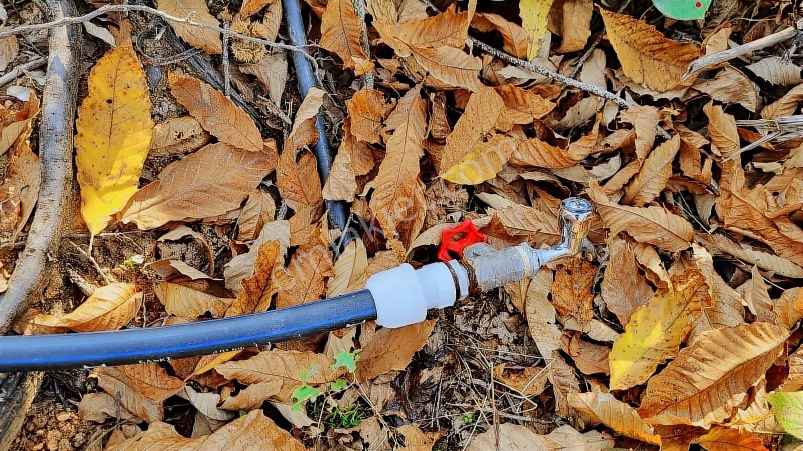 Sapanca Memnuniye'de 4030 Metrekare Yola Cephe Fırsat Tarla - Görsel 11