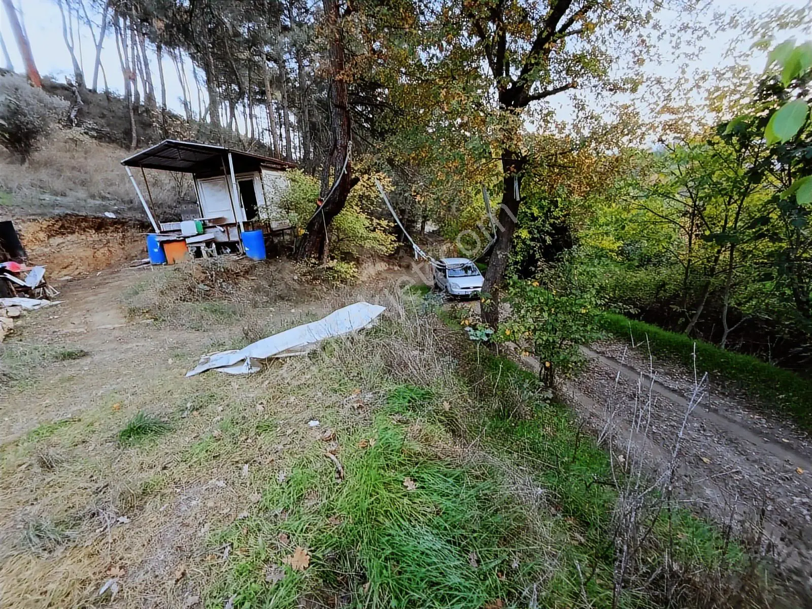 Yatırımın Gözdesi Çağlayan'da Süper Fiyata Satılık İncir Bahçesi