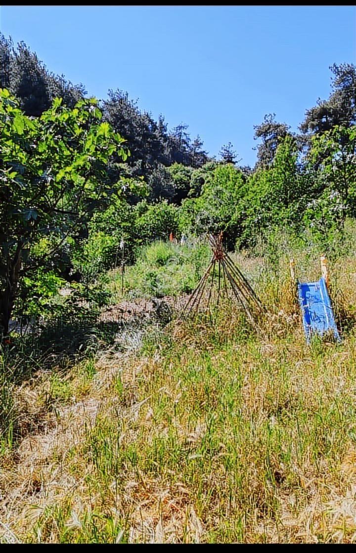 Yatırımın Gözdesi Çağlayan'da Süper Fiyata Satılık İncir Bahçesi - Görsel 22