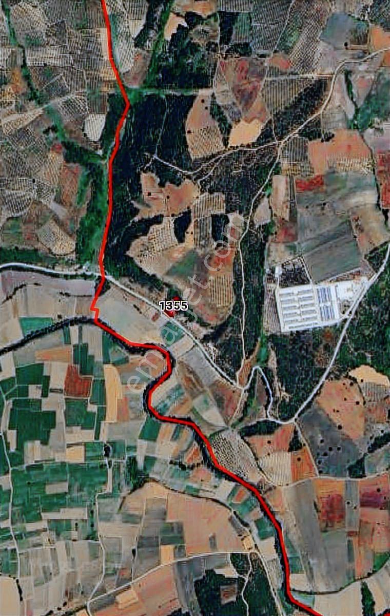 Hançerli'de Harika Konumda1917 M2 Asfalta Cephe Tarla - Görsel 2