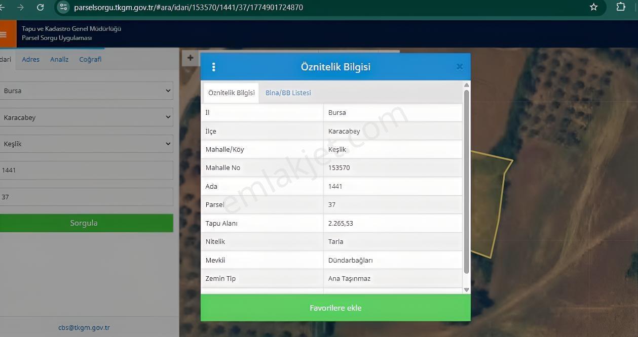Karacabey Keşlik Mahallesi'de Satılık Tarla(zeytinlik) - Görsel 2