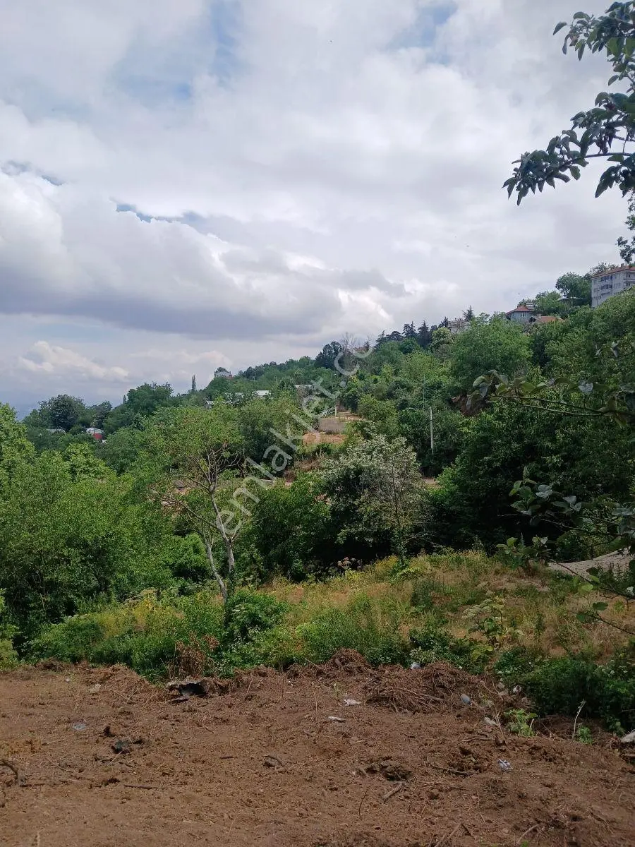 Bursa Uludağ Yolu Yiğitali Köyünde Bursa Manzaralı Fırsat Bahçe - Görsel 12