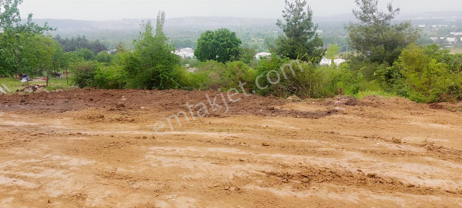 Tahtalıda Manzaraya Hakim Kadastro Yoluna Cepheli 745 M2 Arazi