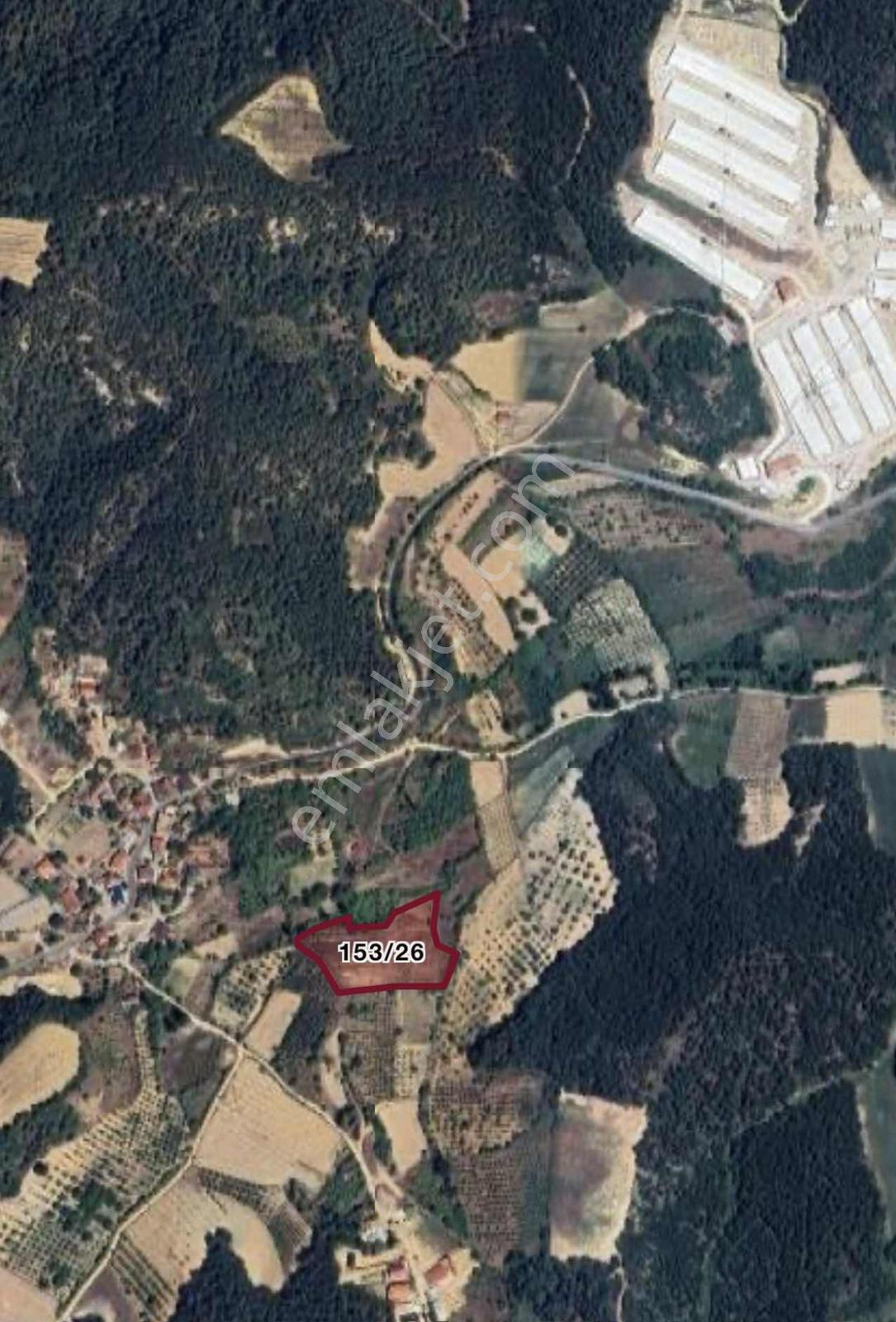 Geyve 6404 M2 Köy İçi İmarlı Resmi Yollu Satılık Tarla - Görsel 2