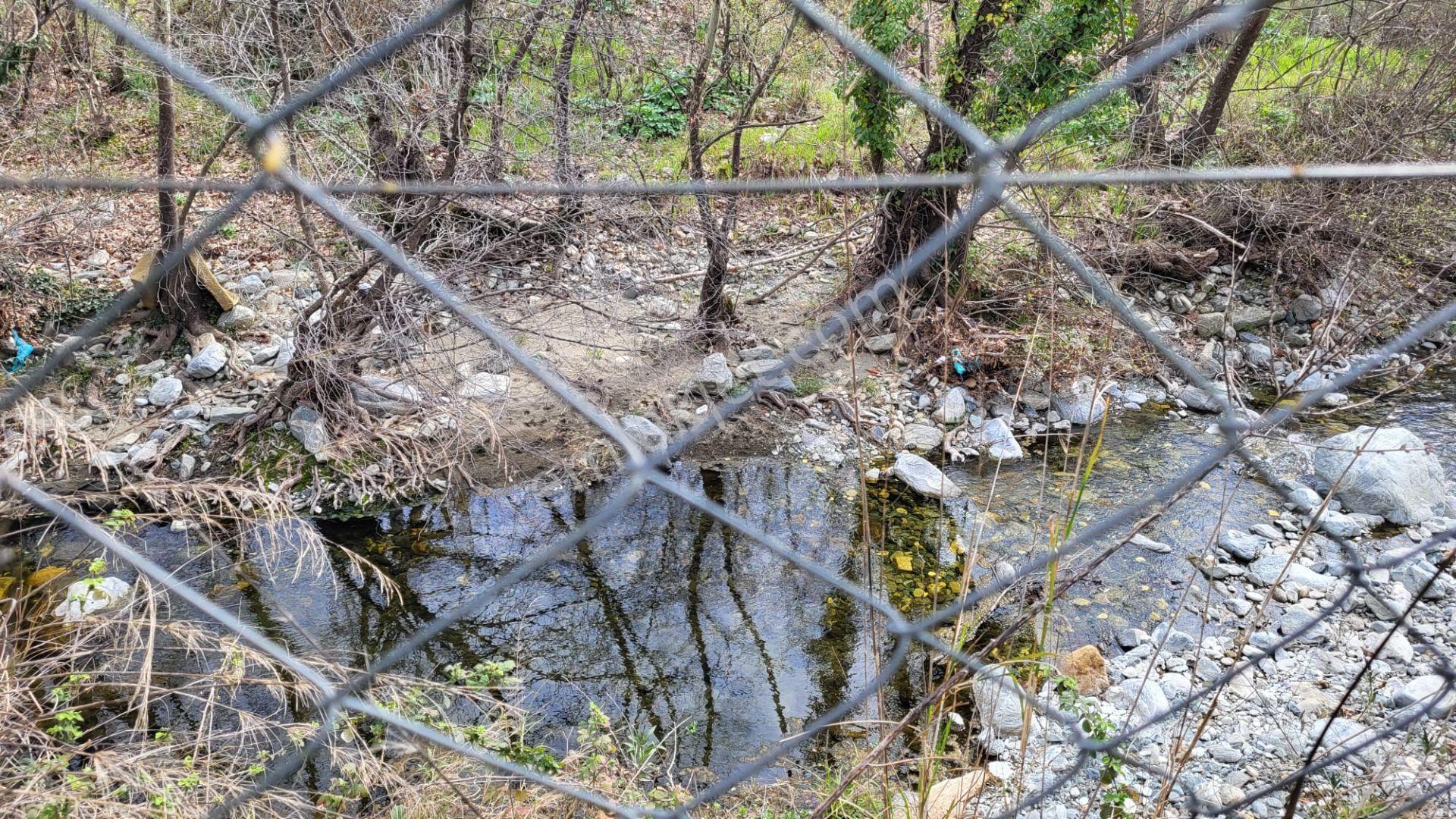 Edremit Güre'de Satılık Verimli 19964 M2 Zeytinlik - Görsel 15