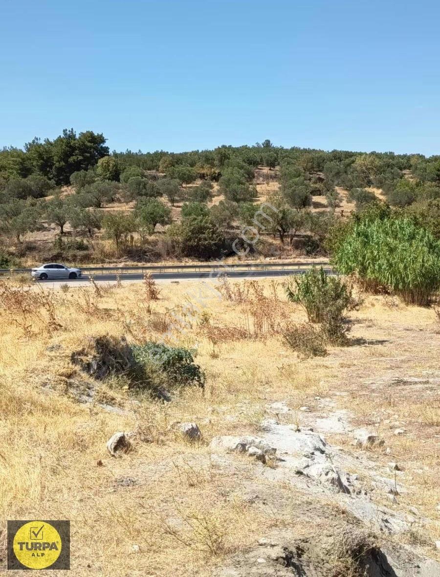 Manisa Akhisarda İstanbul Yolu Üzerinde Satılık Tarla - Görsel 16