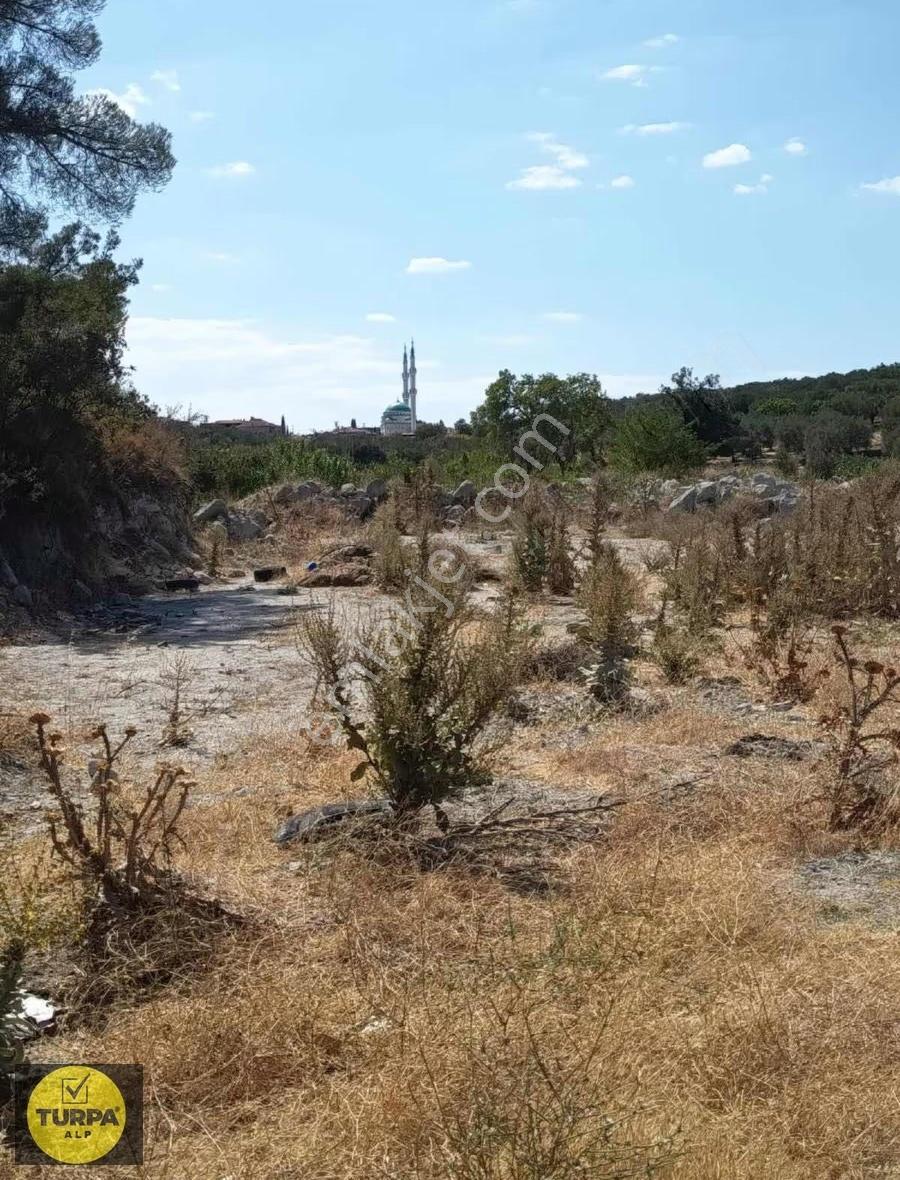 Manisa Akhisarda İstanbul Yolu Üzerinde Satılık Tarla - Görsel 4
