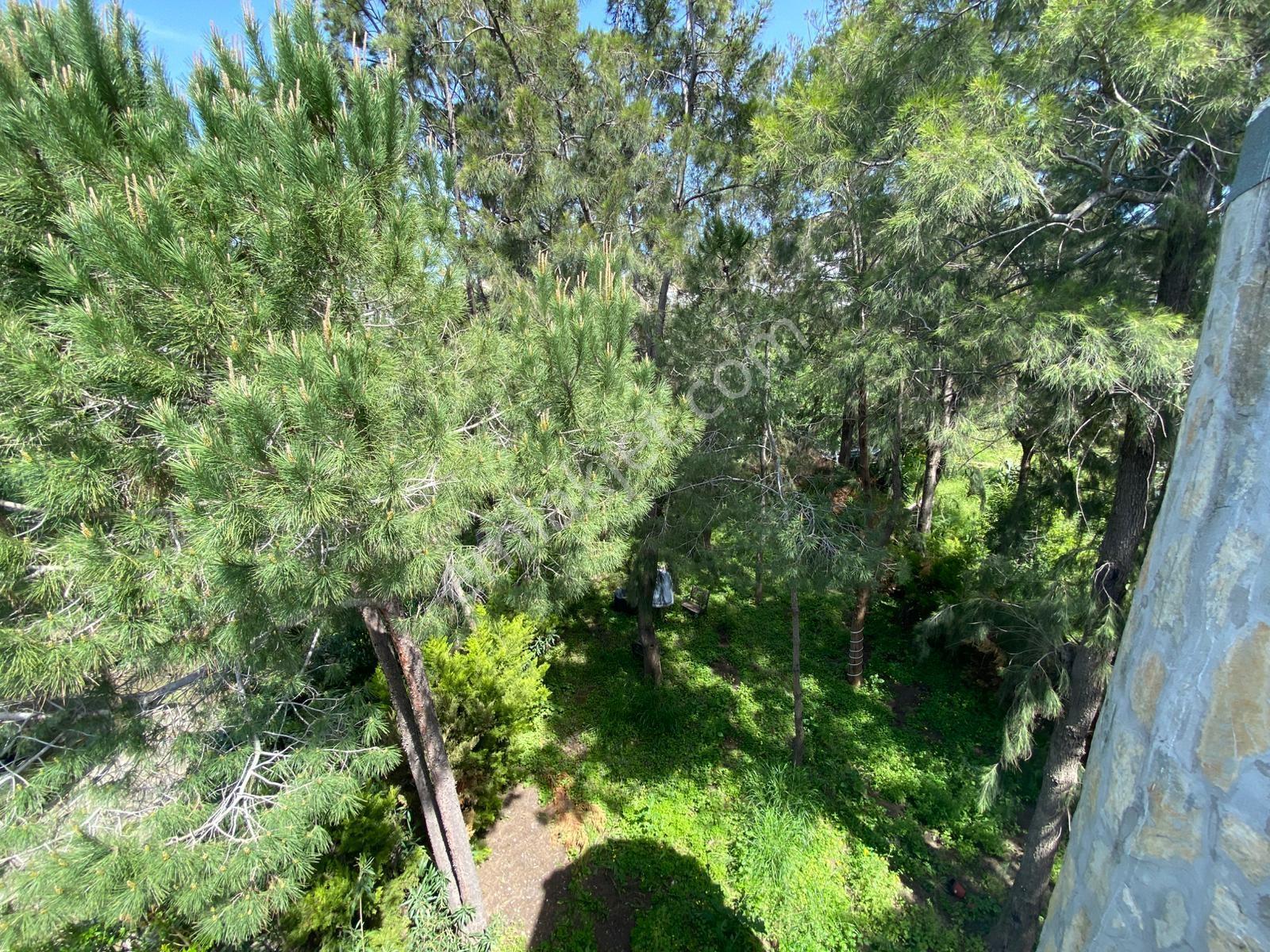 Yalıkavak Merkezde Doğa İle İç İçe Satılık Villa - Görsel 19