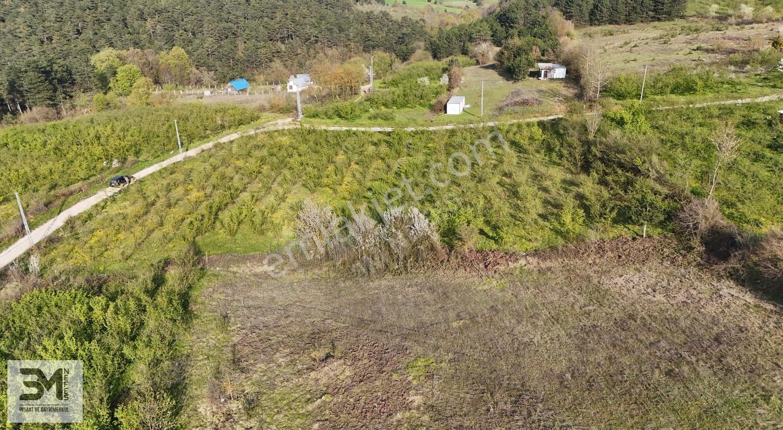 Sakarya Geyve İhsaniye 4410 M2 Köşe Parsel Fırsat Fındık Bahçesi - Görsel 6